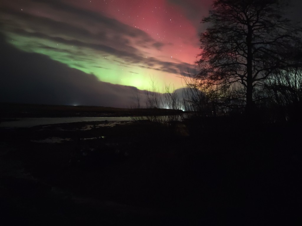 It was great to see the aurora from the garden in Oystercatchers in 2024.  You might be lucky  at February half term 2025.  Book your stay now at tinyurl.com/Oystercatchers…, where you might just be lucky. #northernlights #IsleofSkye #halftermholiday #selfcatering #VisitScotland