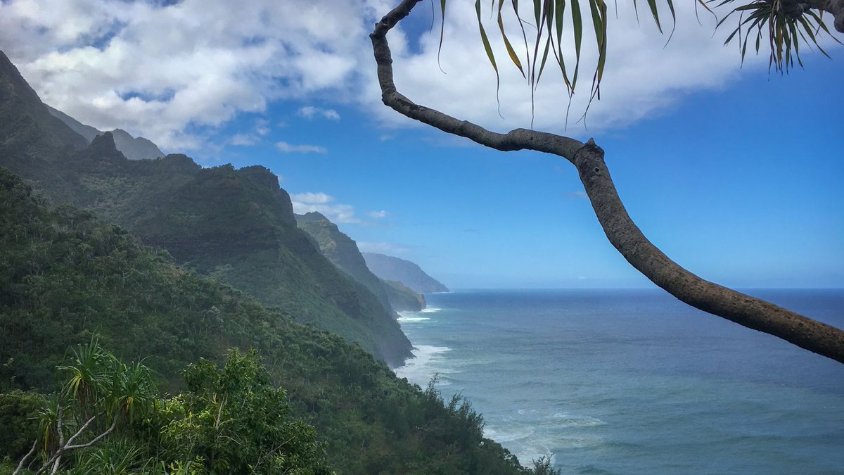 JOB OPPORTUNITY: Biological Technician: Marine Biologist (Smithsonian Environmental Research Center)

sevenseasmedia.org/job/biological…

The Smithsonian’s Marine Global Earth Observatory (MarineGEO) program seeks to support field research and data projects. MarineGEO is a global network of