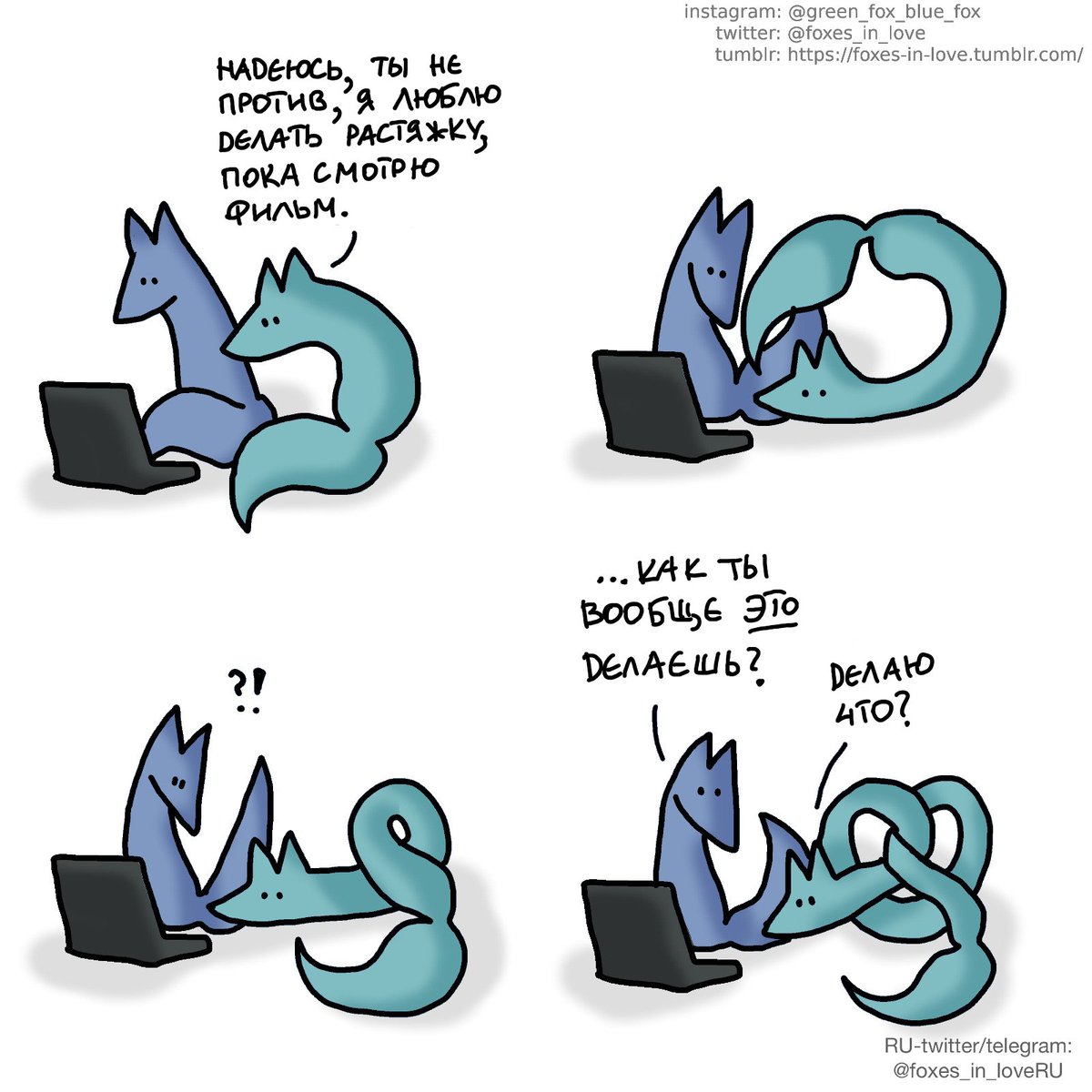 Влюбленные лисы (@foxes_in_loveru) on Twitter photo 