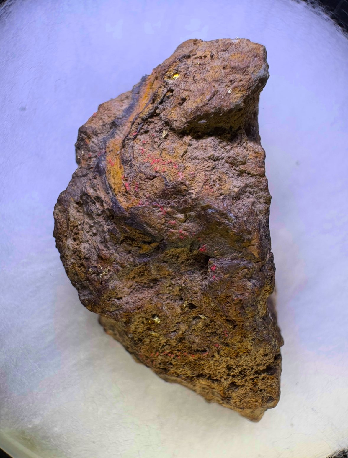 趣味の砂金採り on X: 