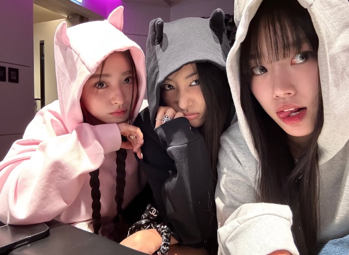 three cats🐈‍⬛