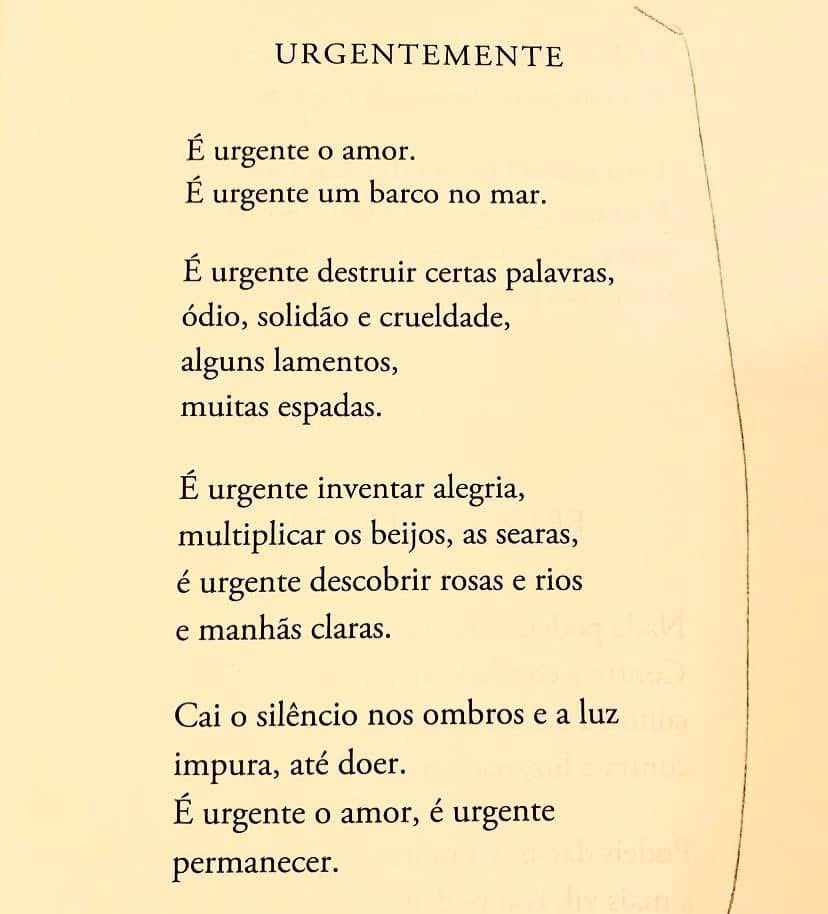 o_cair's tweet photo. Eugénio de Andrade nasceu a 19 de Janeiro de 1923. https://t.co/MMg0zPqEIh