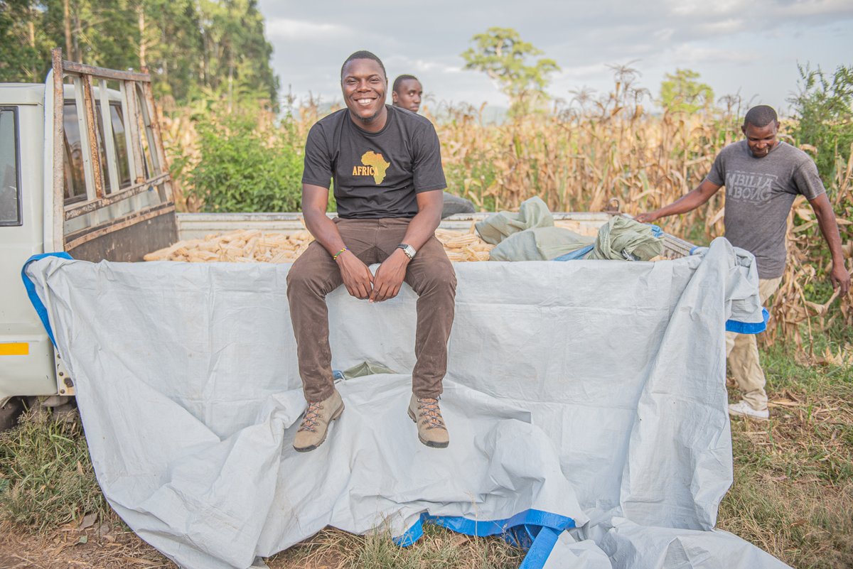 williammdemu's tweet photo. Just harvested the maize, and I couldn’t be happier with the results! 🌽✨
Prepping for the upcoming Irish Potato season! 🥔✨ #FarmLife #PotatoSeason #ReadyToPlant https://t.co/ippx9RfeNh