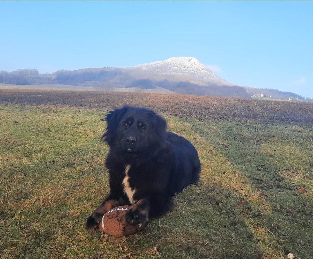 Bedýnka pod horou Fujichmelák 😁