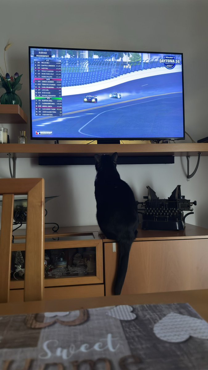 My cat is loving the <a href="/iRacing/">iRacing</a> Daytona 24H.