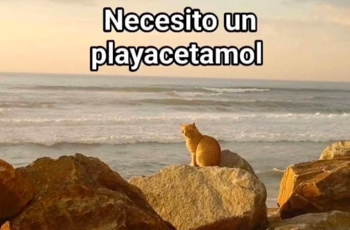 lavecinarubia's tweet photo. Quedan 21 domingos para que sea verano. https://t.co/AOBHJHSNsD