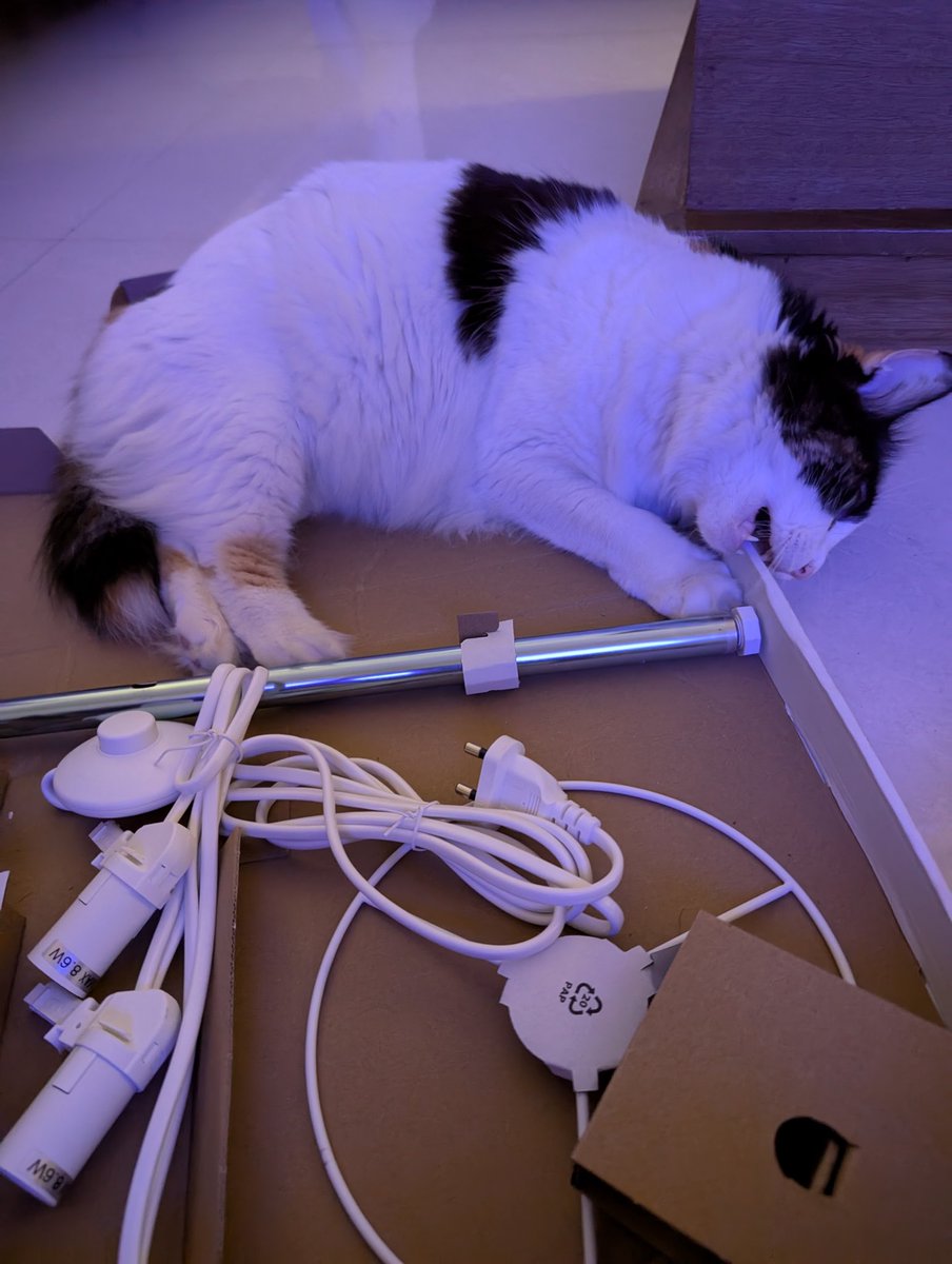 moon in the blues | free Palestine 🔻🇵🇸 tweet media