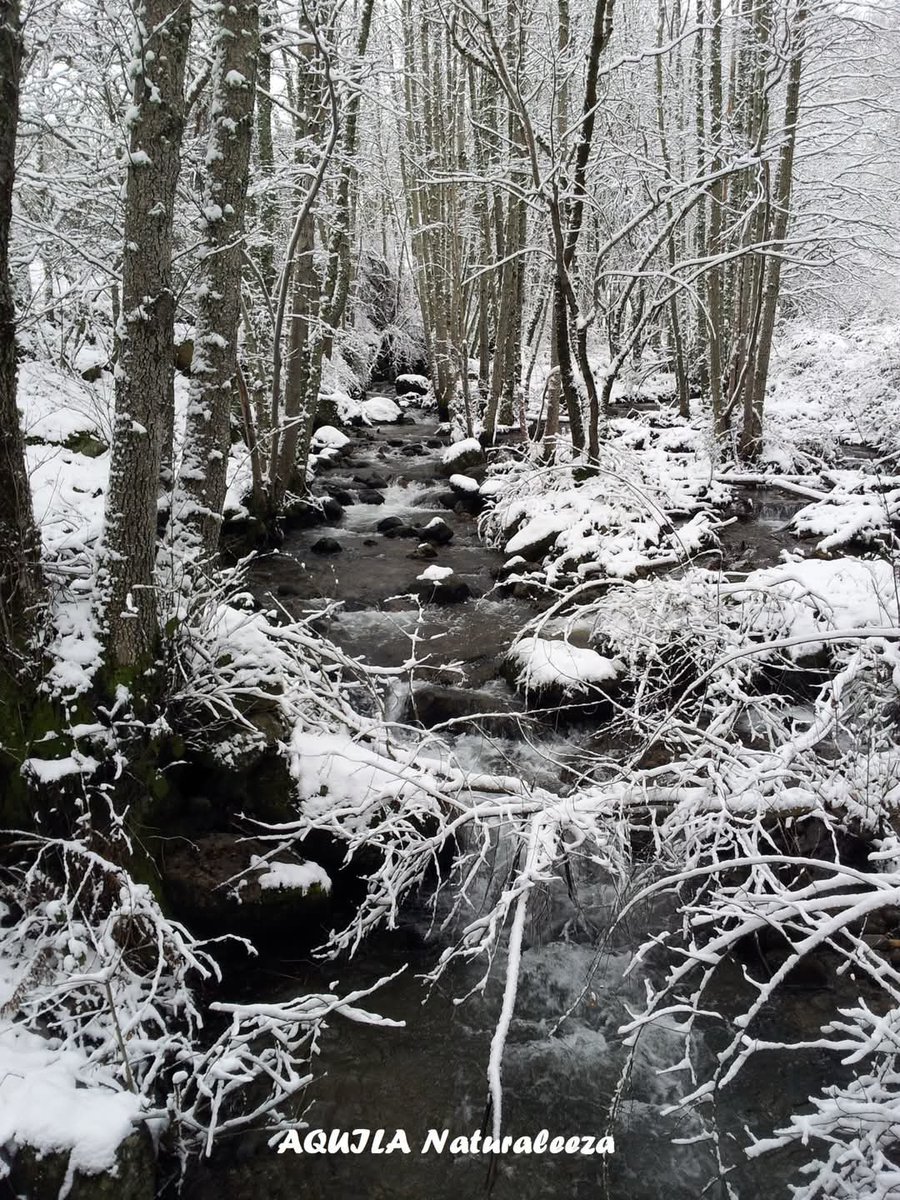 Hoy es el #DíaMundialdelaNieve! ❄️ 
 
¿Qué significa para ti la nieve? ¿Cuál es tu sitio favorito al que ir a pasar un día de nieve? 

Os leemos 👀