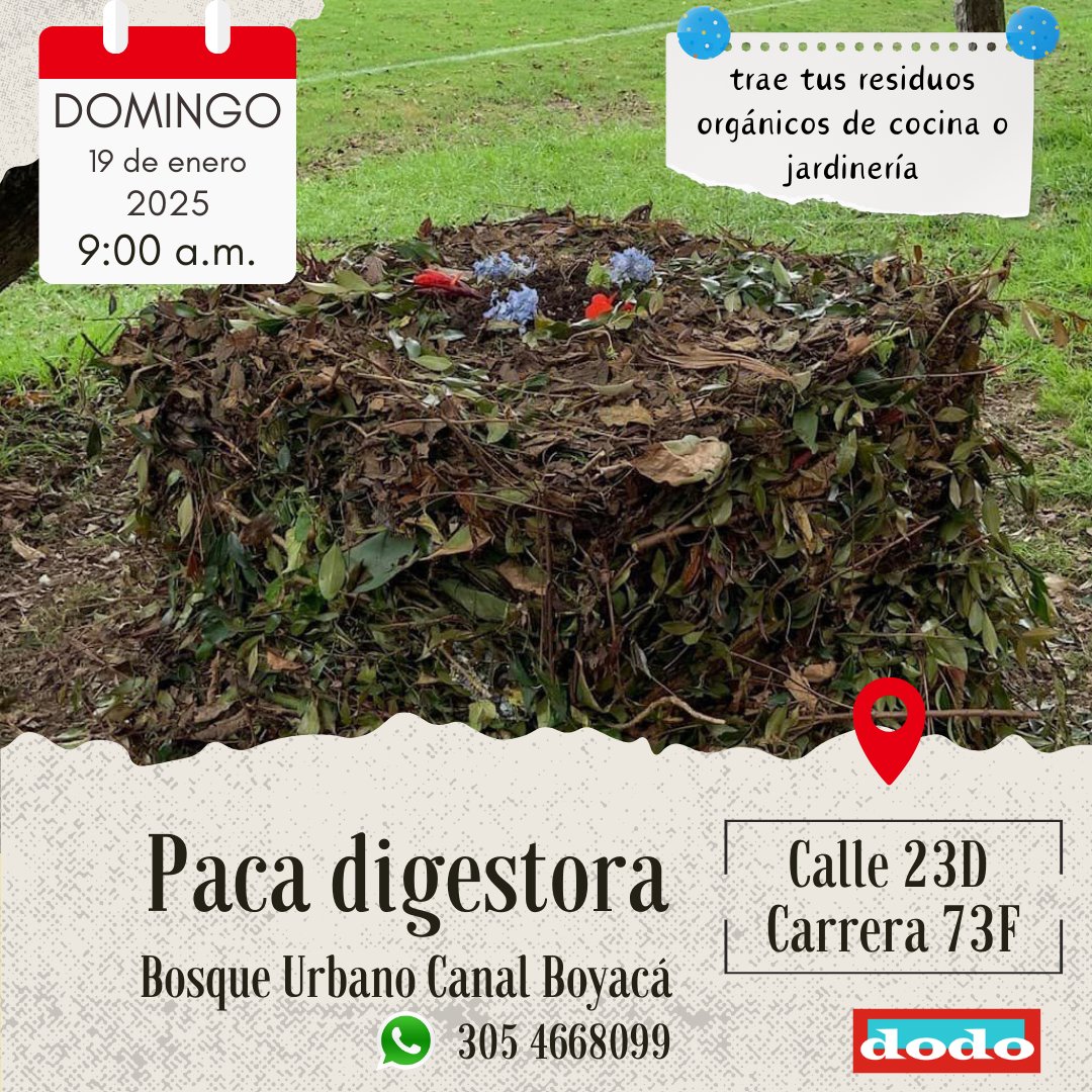 ¡HOY!
Nos vemos a las 9:00 a.m.
#EntreBosques #BosqueUrbano #CorredorEcológico #PacaDigestora #ManejoDeResiduos
#PacaDigestoraSilva