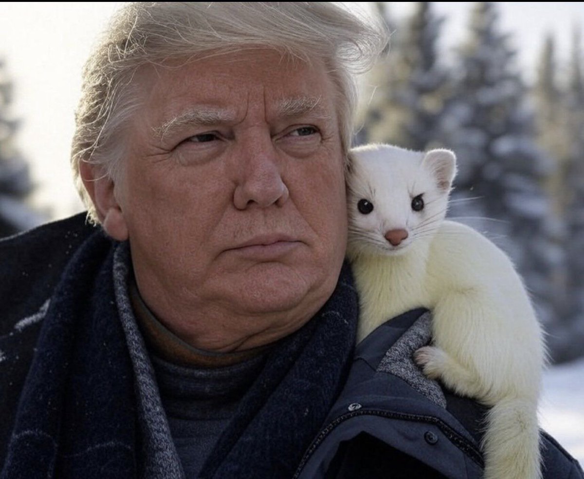 <a href="/degenIzzy/">Izzy</a> If you don't understand yet that you have to join $ERMINE 

everyone likes it justin, Windows and even trump 

Ca: 81XXRV3BBR3UCNssE7GFDTPZhucVZi9LHTwu1kdPpump