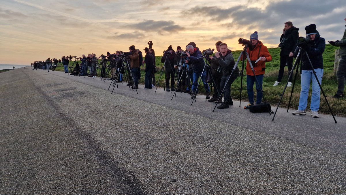 Ook vandaag is de Brileider weer mooi te zien vanaf de Vogelboulevard nabij de IJzeren Kaap. Wil je daarna even lekker opwarmen met lekkere koffie of chocomelk, breng dan een bezoek aan Natuurcentrum De Marel. Vandaag open van 11-16.30 uur