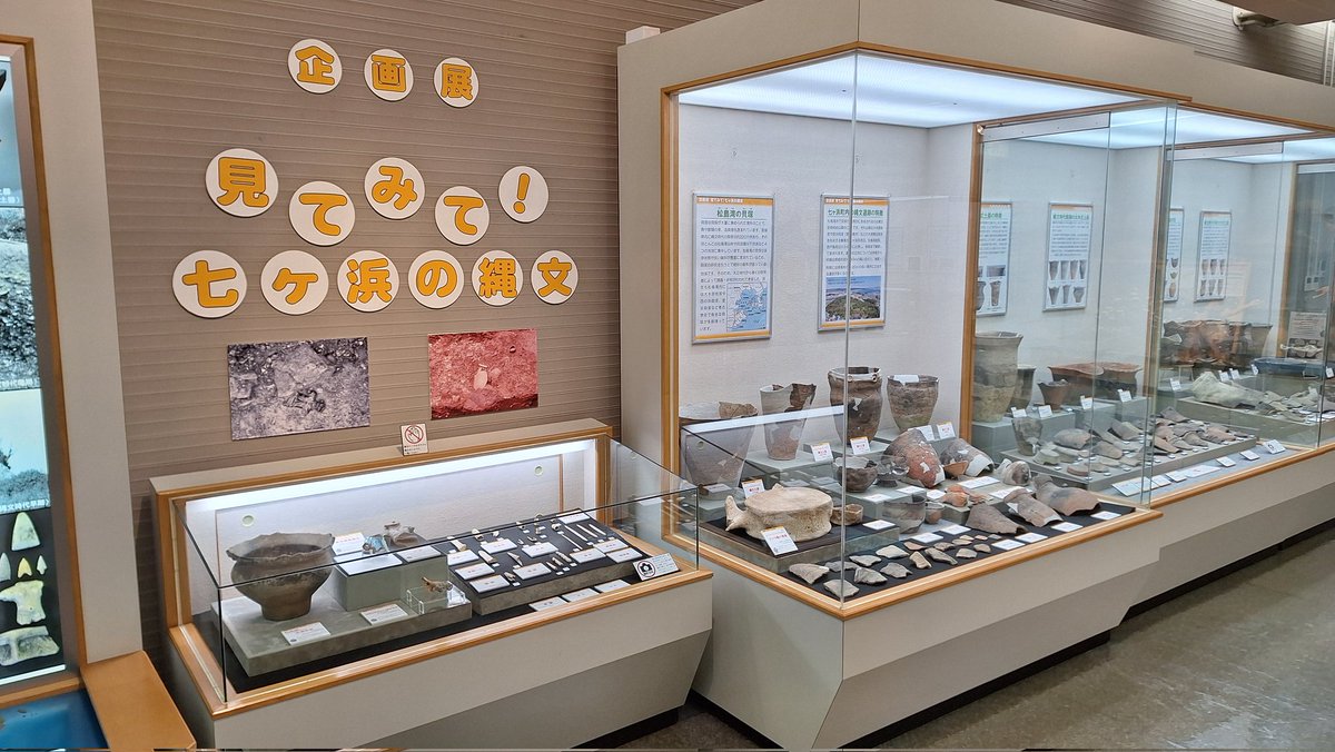 shell_mo7's tweet photo. 企画展「見てみて！七ヶ浜の縄文」終了まであと１週間です。
東北大学所蔵の山内清男大木式土器編年基準資料を間近で見られるのもあとわずかです。 https://t.co/2E1gNR64k9