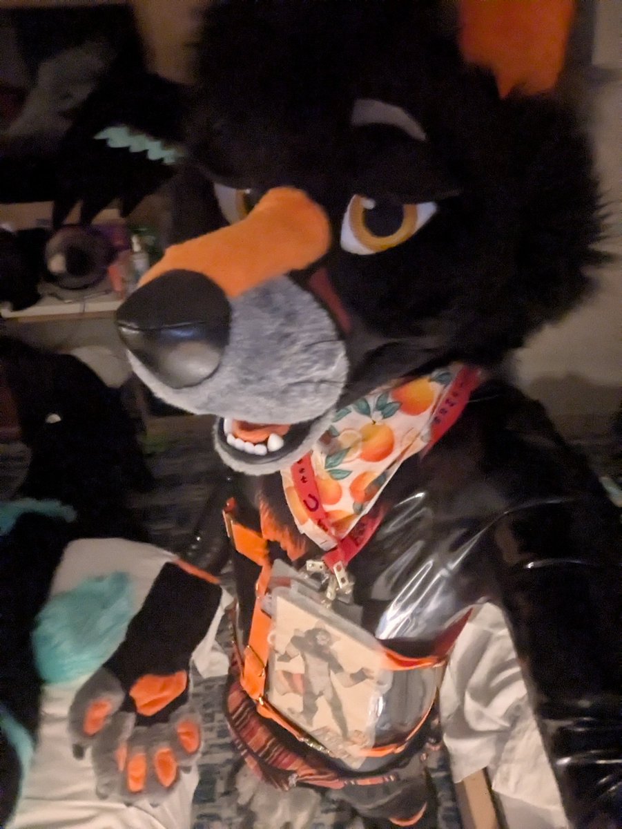 Spicy Oranges 🍊🔥 tweet media