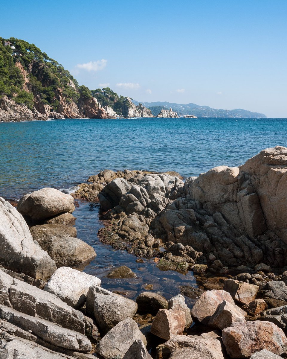Cala Sant Francesc, un racó on la tranquil·litat i el mar es troben. Què és el que més us captiva d’aquest indret? 🌊✨

Cala Sant Francesc, un rincón donde la tranquilidad y el mar se encuentran. ¿Qué es lo que más os cautiva de este lugar? 🌊✨

#blanes #arrandemar