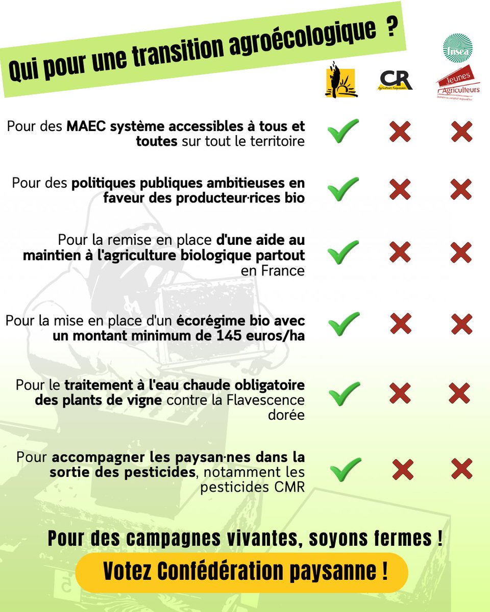 Conf_pays13's tweet photo. 🗳🔎 ZOOM POUR LES ÉLECTIONS PROFESSIONNELLES : Qui défend l'accompagnement afin de déployer l'agroécologie ?  
👊 La seule véritable alternative, c'est la Confédération paysanne !  
🗳 DU 15 AU 31 JANVIER 2025, JE VOTE CONFÉDÉRATION PAYSANNE ! ✊ https://t.co/s59vwOkILF