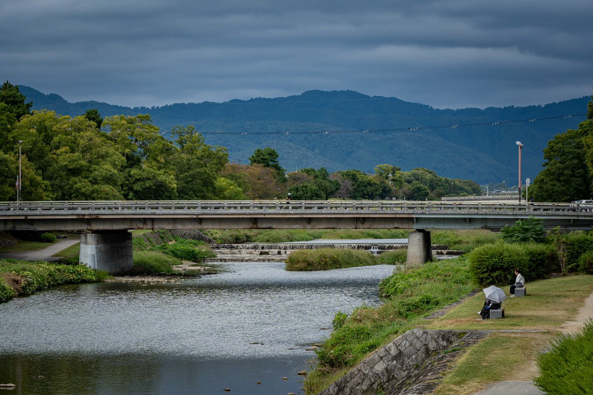 Meandering Max tweet media