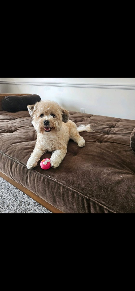 roach_keith's tweet image. 