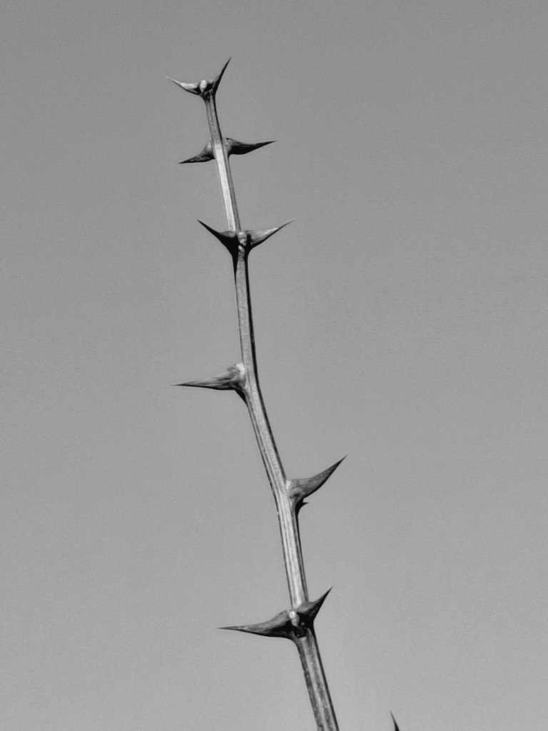 Just a perfect day
youtu.be/9wxI4KK9ZYo?si…