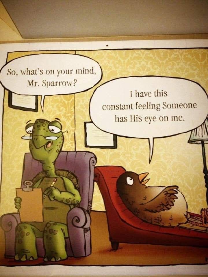 Katie Harrison tweet media