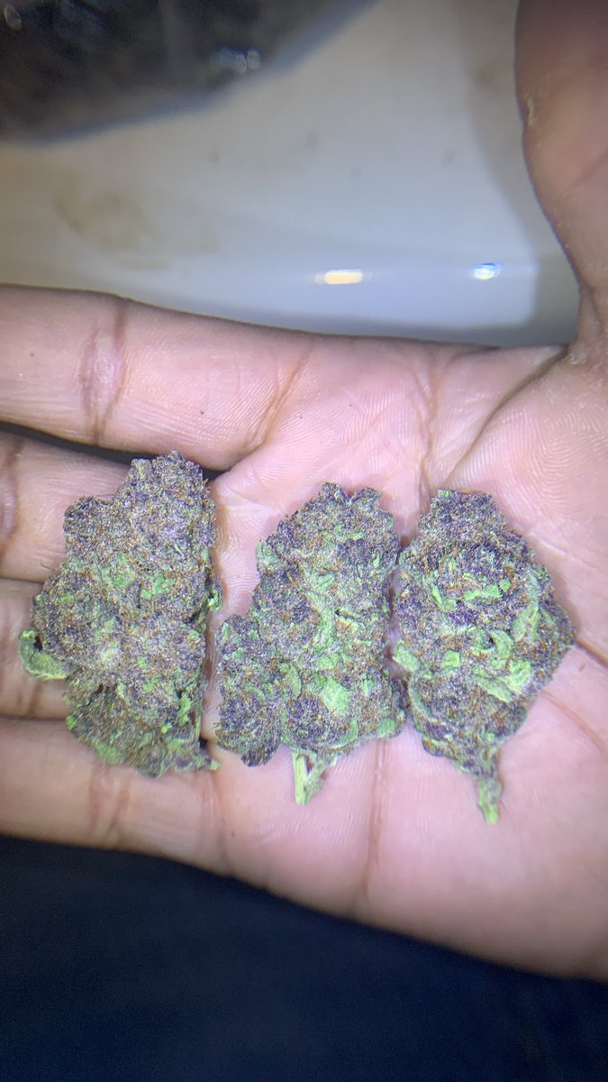 JetBagsx's tweet photo. Indoor TROP CHERRY 🌴🍒
$100 ZIP
Exotic ITALIAN ICE🇮🇹🧊
$140 ZIP
📍DEKALB PICKUPS📍
#at|plug #carts #atlanta #atlweed #atlantaplug #buckhead #cau #gsu #clarkatlanta #atlhookups #exotic #plug #atlantameets #gas #za #carts #atlfreaks #georgiastate #KSU24 #zot #zaza https://t.co/Ngx21a2usI