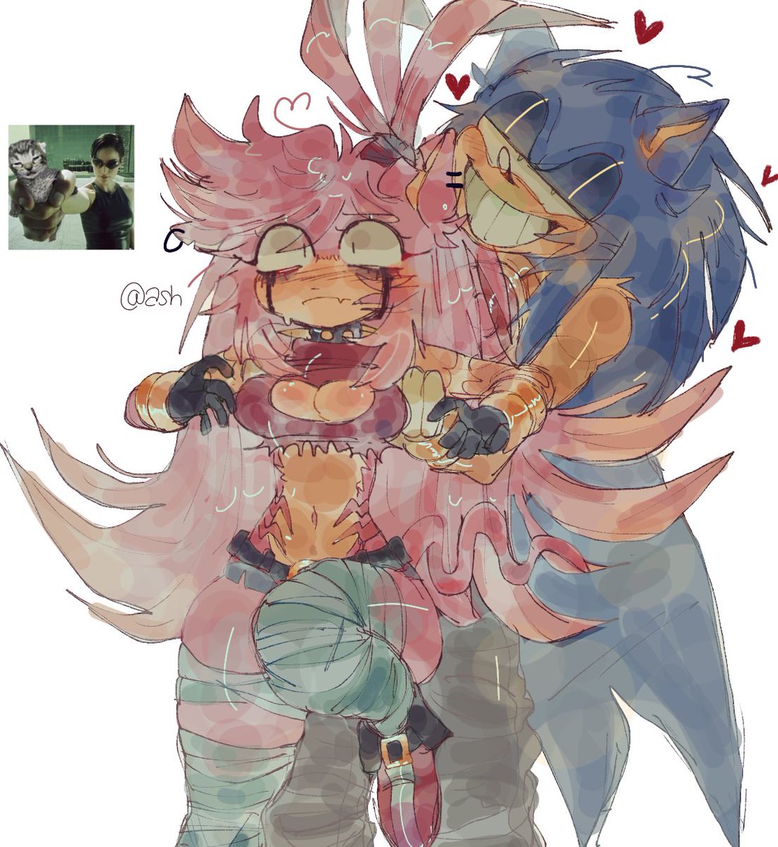 nekoexe_'s tweet photo. #sonamy #SonicTheHedgehog #sonicart #amyrose #AmyRoseFanart #sonicfanart #theressomethingaboutamy

kittyyyyy https://t.co/ZyX75OPCjc