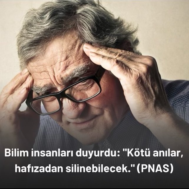 Şu sınavları finalleri falan komple silebilir miyiz?