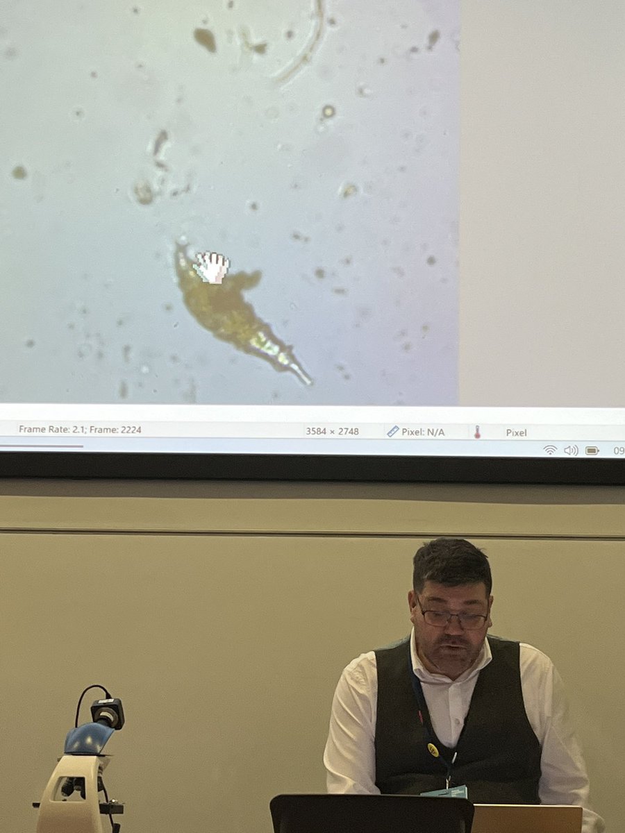 Kate Sutton MEd CSciTeach tweet media