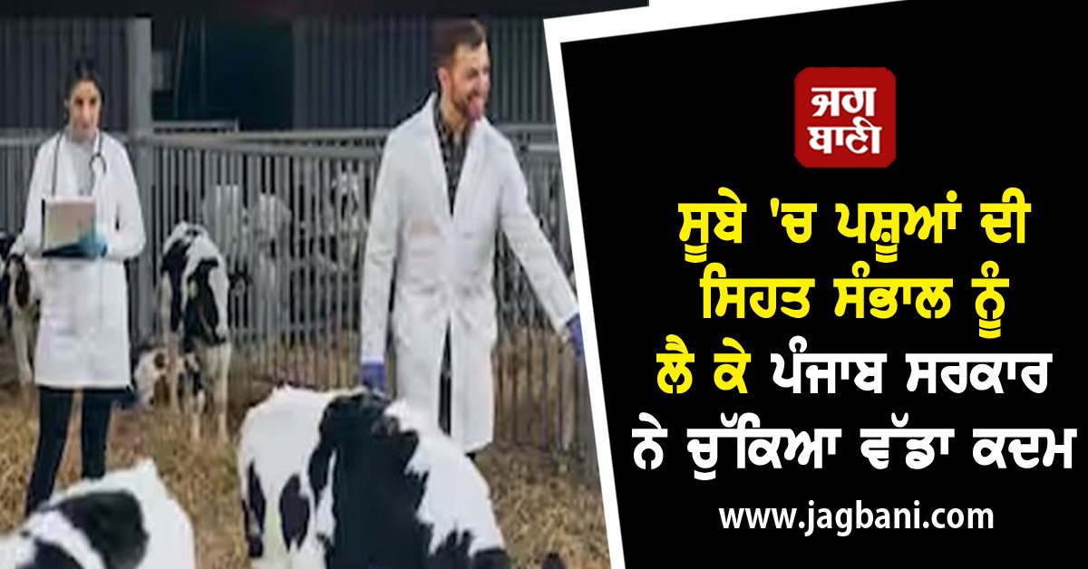 JagbaniOnline's tweet image. ਸੂਬੇ 'ਚ ਪਸ਼ੂਆਂ ਦੀ ਸਿਹਤ ਸੰਭਾਲ ਨੂੰ ਲੈ ਕੇ ਪੰਜਾਬ ਸਰਕਾਰ ਨੇ ਚੁੱਕਿਆ ਵੱਡਾ ਕਦਮ
jagbani.punjabkesari.in/punjab/news/an…
#Animals #treated #governmentveterinaryhospitals