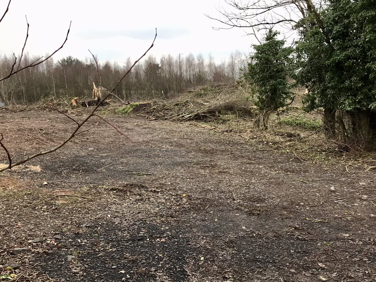 A long shot but the naturally regenerated tree growth on the old Whinhill pit #bing #Alloa #Coal Co. 1873-1936 (the one by Morrisons) has been felled anyone know why? 
#MiningLandscapes #MiningHeritage #Clackmannanshire