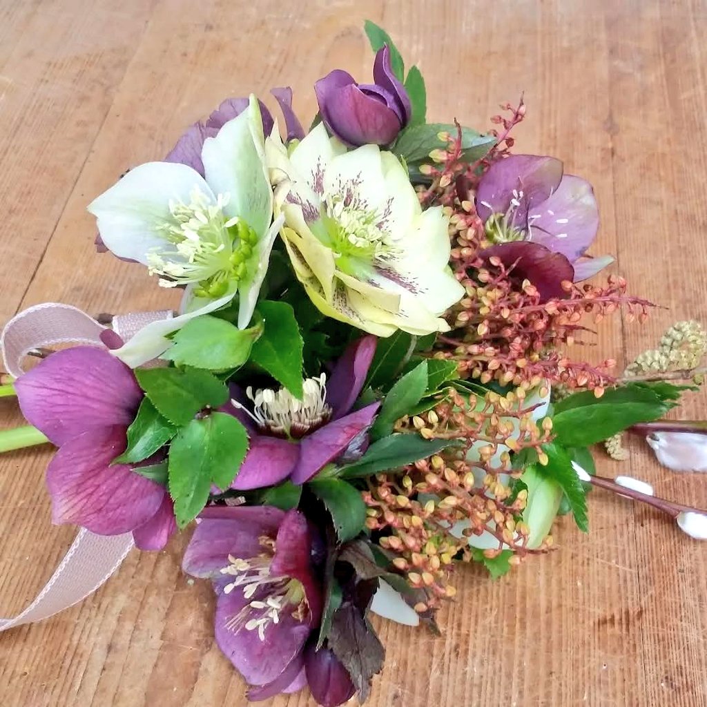 jpmoseley's tweet photo. Its great to see that the Hellebore are braving the cold January weather to provide some much needed colour. I love the resilient plants of Winter!
#inmygardentoday #Hellebore #helleboreofinstagram #derbyshiregarden #winter #plants #january #flowers #flowertalk #JonathanMoseley https://t.co/WTydoIDZN3