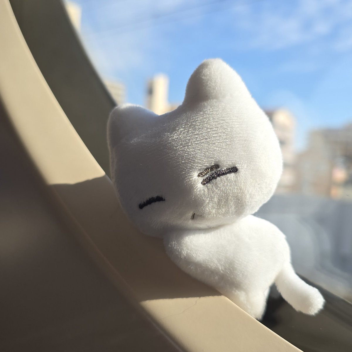yeppinyangbnd's tweet photo. 💤😴 https://t.co/zFzzD6MumZ