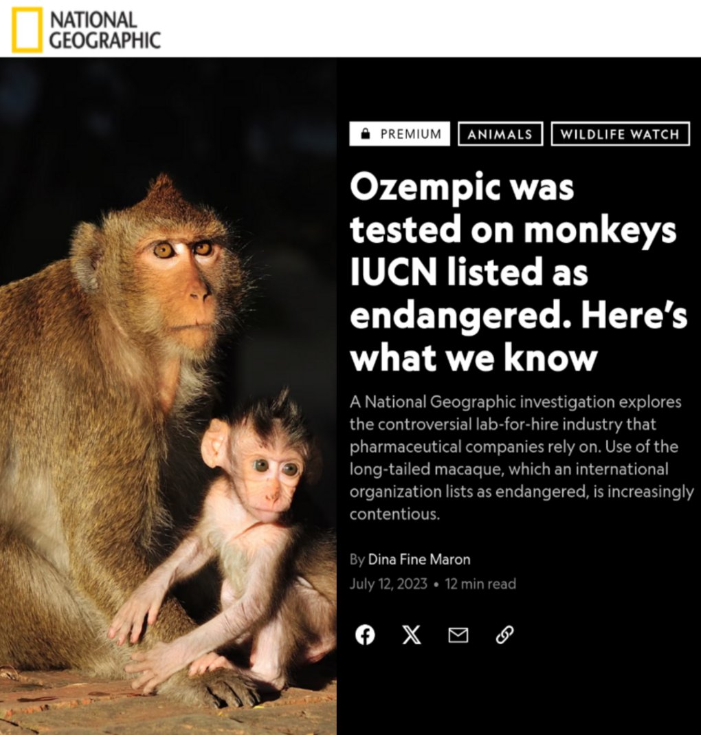 StopCamarles's tweet photo. En 2023 salió a la luz cómo Novo Nordisk “usaba” macacos en peligro de extinción para probar, entre otras cosas, Ozempic.
https://t.co/65NtsI7FNk 

Ahora, una nueva serie de artículos muestra la relación de Novo Nordisk con las “granjas de macacos” en Vietnam y Mauricio y su responsabilidad en el atroz negocio de los “macacos para experimentación”
👉 https://t.co/AMkJdcmBgp
 
👉 https://t.co/aJlVf6iQip

#NoEsCiencia #AboliciónVivisección