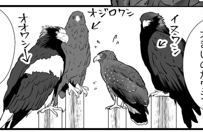 自分で描いておきながらなんですが、ワシ会議が好きです🦅 