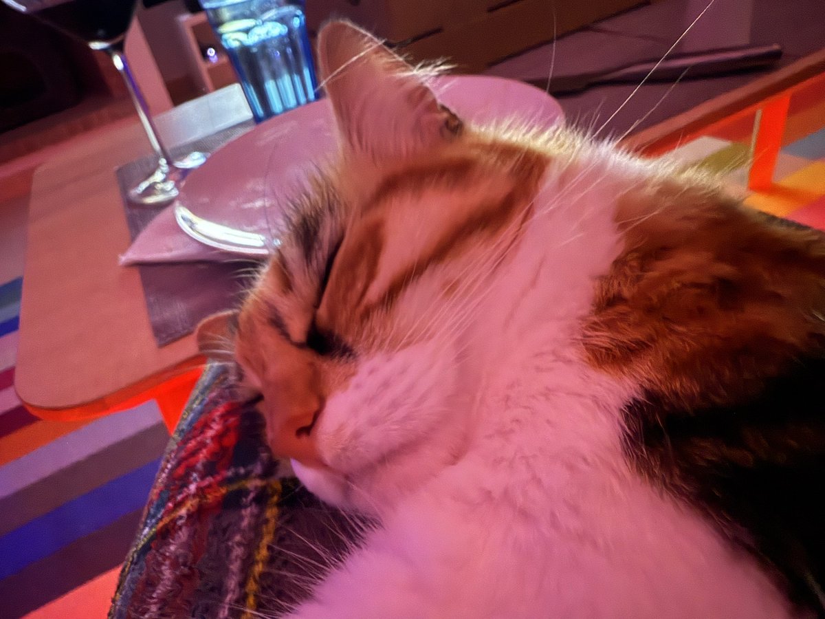 Awesome Possum 🇨🇾 tweet media