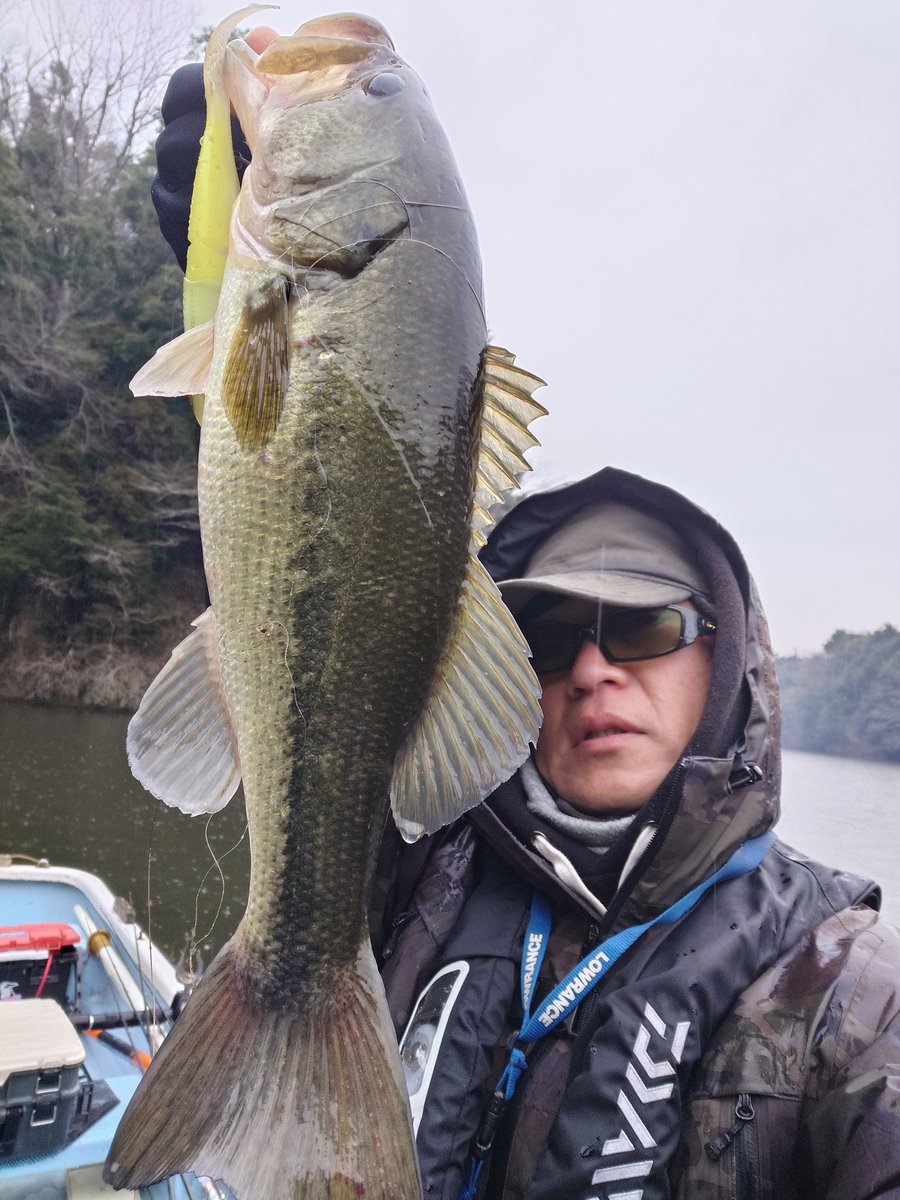 片倉ダム　1月19日
今年も元気に「アンチ・サイト」「アンチ・フィネス」！
一部マニアの皆さま、大変お待たせいたしました。ようやく年明けです。
亀山での紅葉クルーズ・落葉クルーズ、その後の片倉でかれこれ6〜7連敗。長かった…
シャローの魚につき、真冬でもこの黒さ。尾っぽも丸まってません。