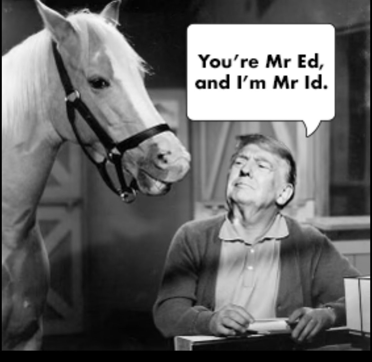 madameshawshank's tweet photo. @CaraMia200 Obama’s crowd
#Trump’s crowd

His people know there are lots of vacancies in hotels in and around #Washington DC. That meant small crowd

#MrId would have found that an unbearable narcissistic injury

Hence the move to indoors

#MAGA who’ve forked out $s to see their hero are 😡 https://t.co/8nrxoNvBDN