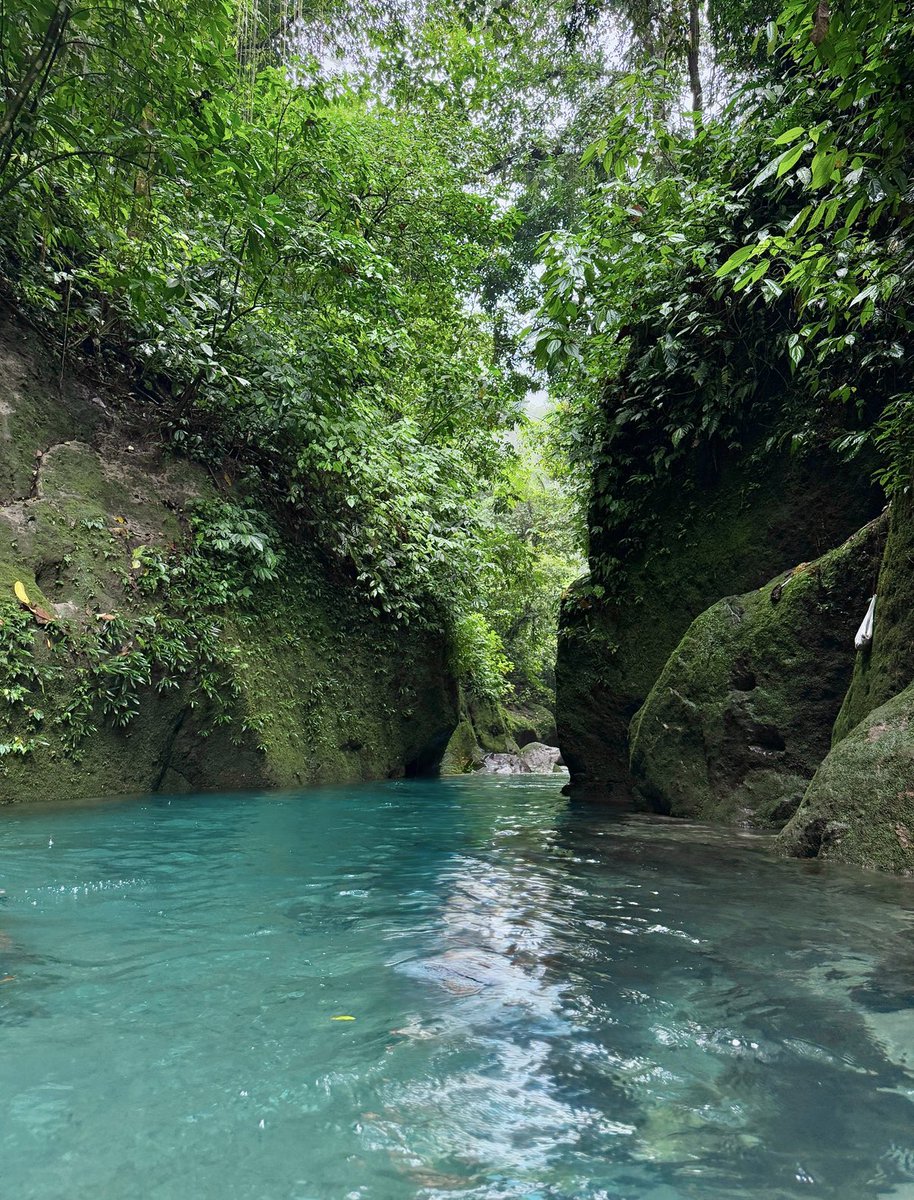 kuikui 🦋 tweet media