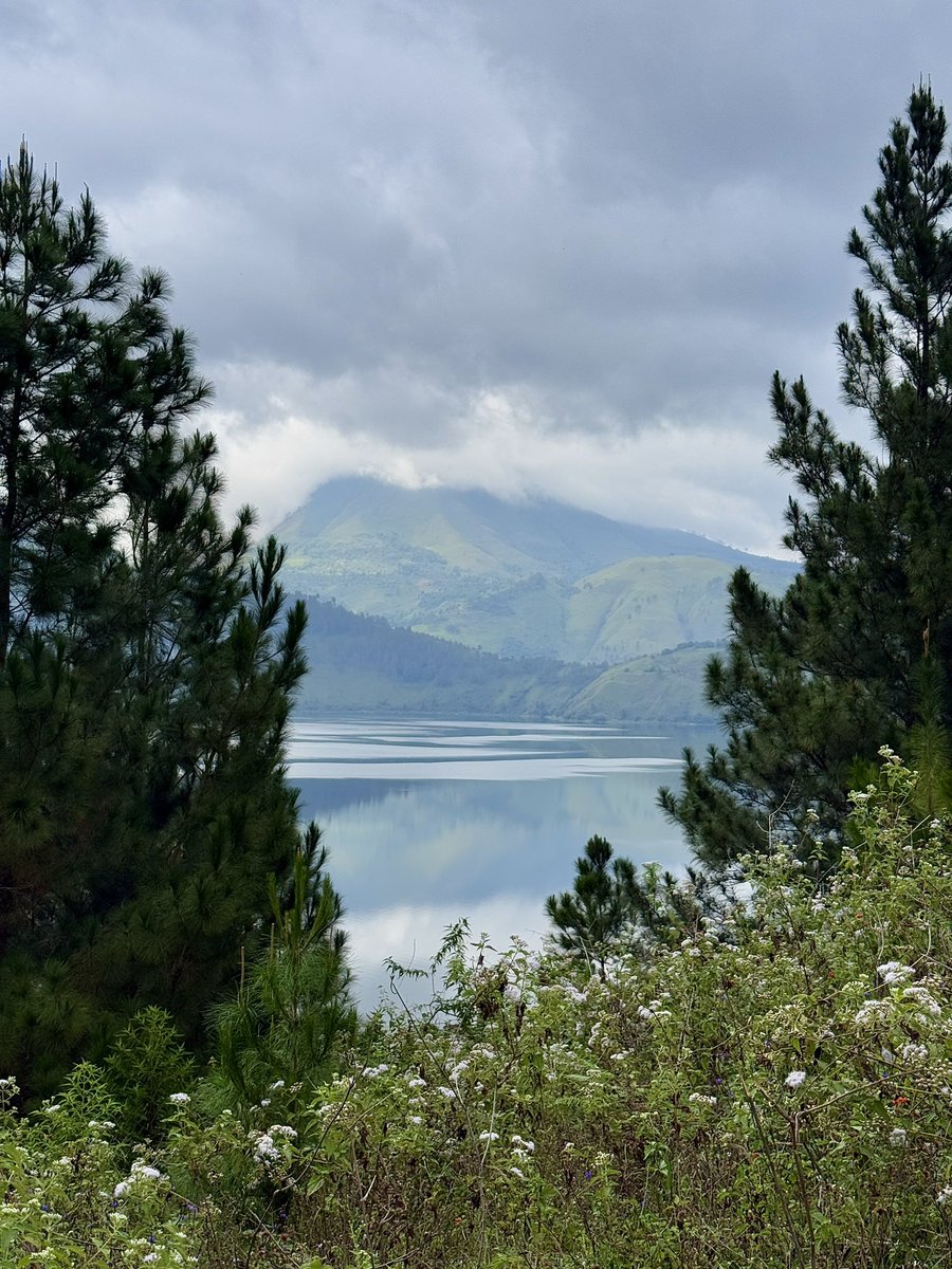 kuikui 🦋 tweet media