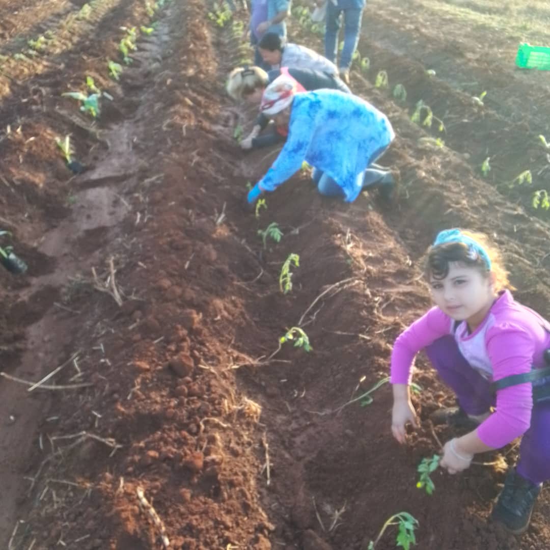 CaridadPoey's tweet photo. El equipo del gobierno provincial continuamos nuestro apoyo en jornada de cambio de labor y trabajo voluntario en Gisper. En la siembra de yuca y tomate 🍅 #MatancerosEnVictoria. https://t.co/42s0wboq74