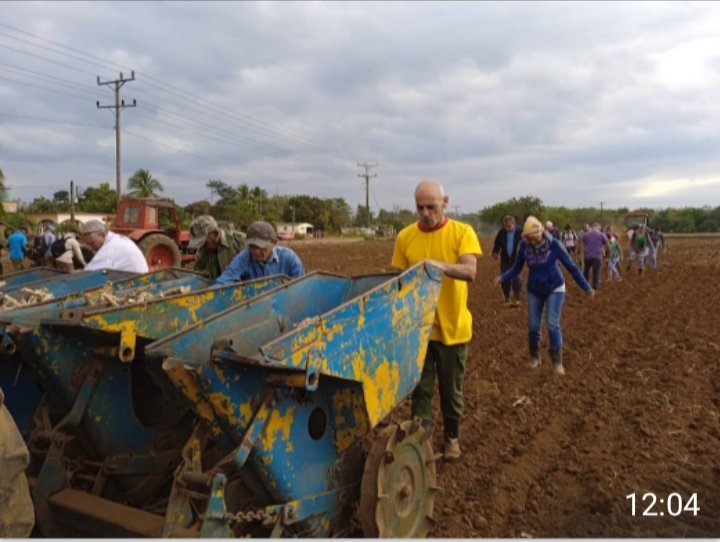 CaridadPoey's tweet photo. El equipo del gobierno provincial continuamos nuestro apoyo en jornada de cambio de labor y trabajo voluntario en Gisper. En la siembra de yuca y tomate 🍅 #MatancerosEnVictoria. https://t.co/42s0wboq74