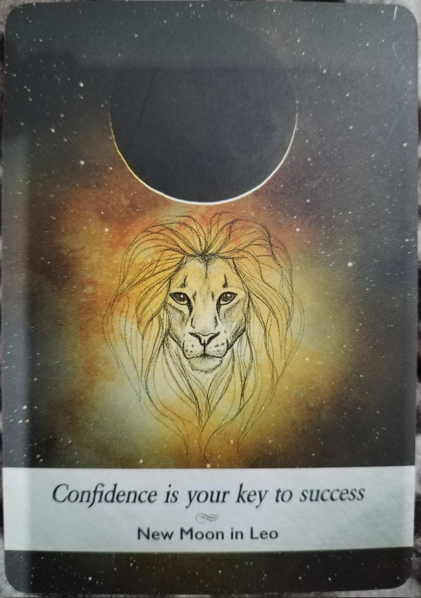 didsastrotarot's tweet image. #oracleoftheday 💫