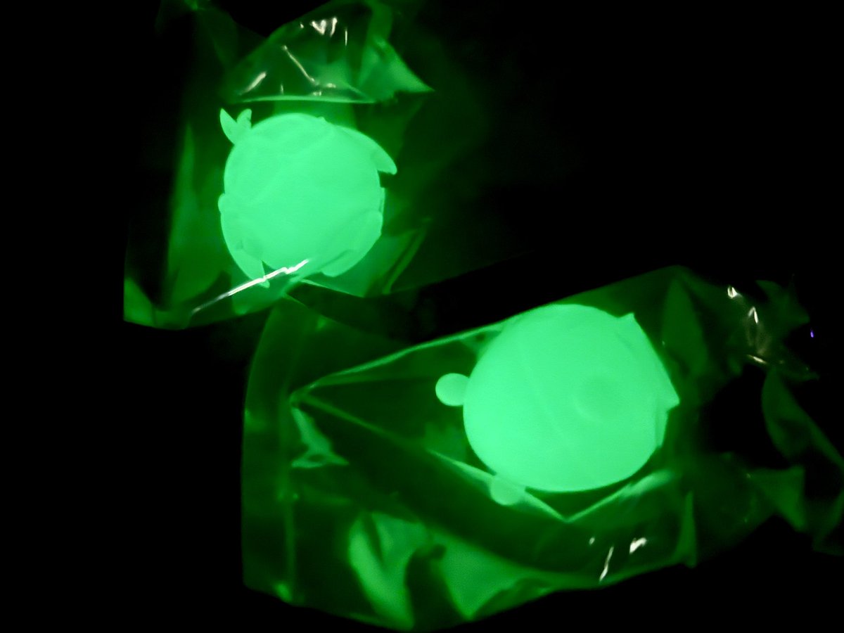 ワンフェス　グリズリーパ 変身イリヤちゃん　from WF2025W ワンフェス グリズリーパ 変身イリヤちゃん from WF2025W 海外限定