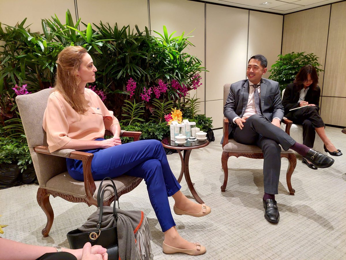 IwonaPiorkoEU's tweet photo. Glad to welcome to Singapore Dr @BvonSeherrThoss Managing Director for Peace, Security &amp; Defence @eu_eeas for @IISS_org Shangri-La Dialogue Sherpa Meeting.

She starts her programme by meeting the host country @mindefsg Deputy Secretary Frederick Choo 🇸🇬🇪🇺 https://t.co/twh7gjuu19