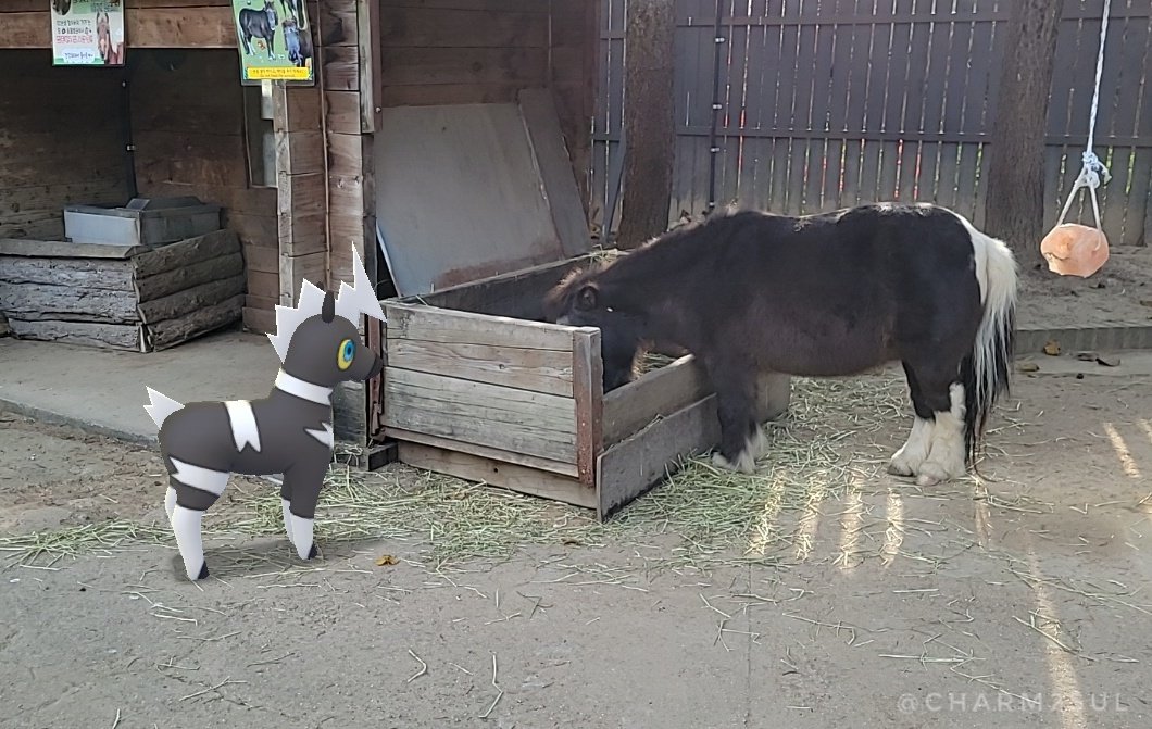 #PokemonGO #GOsnapshot #Pokémon