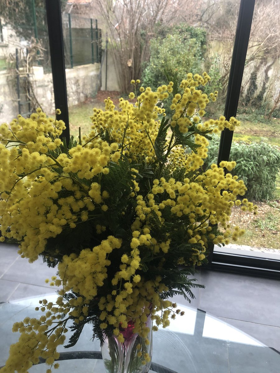 ericmarty55's tweet photo. Comme chaque année en cette saison, les mimosas…. les merveilleux mimosas…
#Ponge #Char https://t.co/NUnKlI5QS2