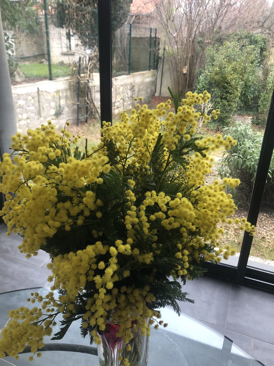 ericmarty55's tweet photo. Comme chaque année en cette saison, les mimosas…. les merveilleux mimosas…
#Ponge #Char https://t.co/NUnKlI5QS2