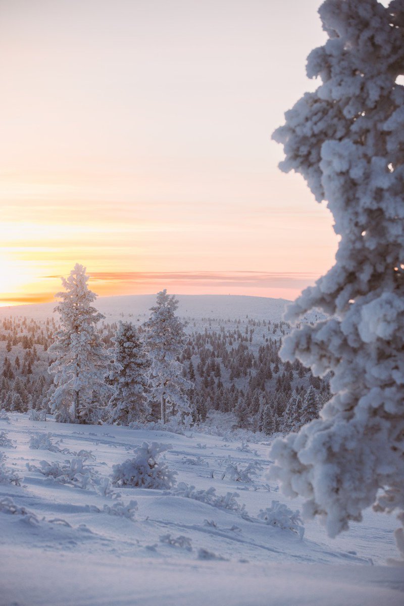 arcticlightadv's tweet photo. Pieniä tammikuisia kaamoksen lopun hetkiä Kiilopäältä. #canon https://t.co/2LZTgTvj07