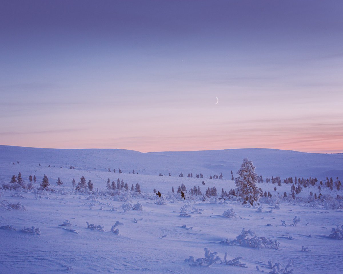 arcticlightadv's tweet photo. Pieniä tammikuisia kaamoksen lopun hetkiä Kiilopäältä. #canon https://t.co/2LZTgTvj07