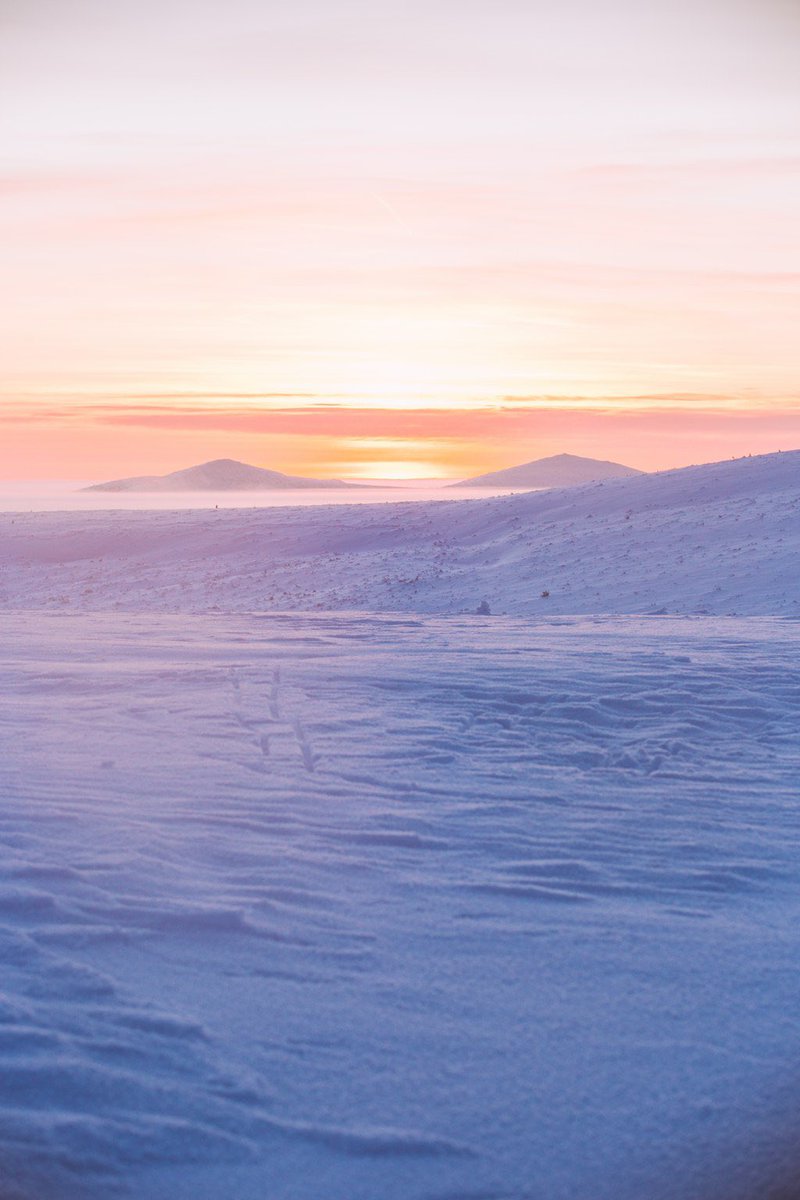arcticlightadv's tweet photo. Pieniä tammikuisia kaamoksen lopun hetkiä Kiilopäältä. #canon https://t.co/2LZTgTvj07