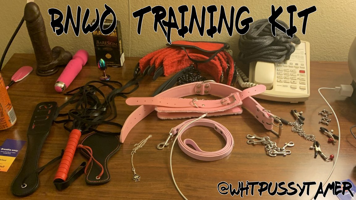 SnowBunnyTrainer tweet media